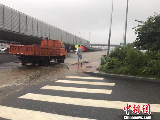 ⭐出售精品
小红书开通店铺号
诚信交易